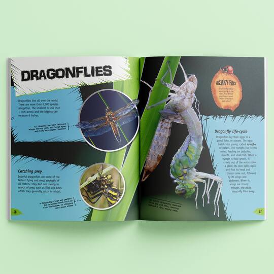 Incredible But True: Bugs & Insects